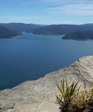 Wandern im Te Urewara Nationalpark